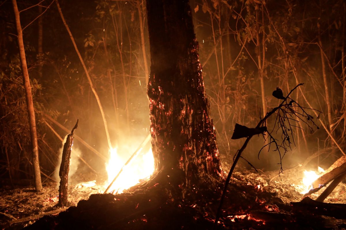 A tract of the Amazon jungle burns as it is cleared by loggers and farmers in Porto Velho, Brazil August 24, 2019. REUTERS/Ueslei Marcelino