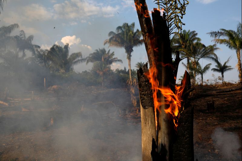 Amazon burning: Brazil reports record forest fires