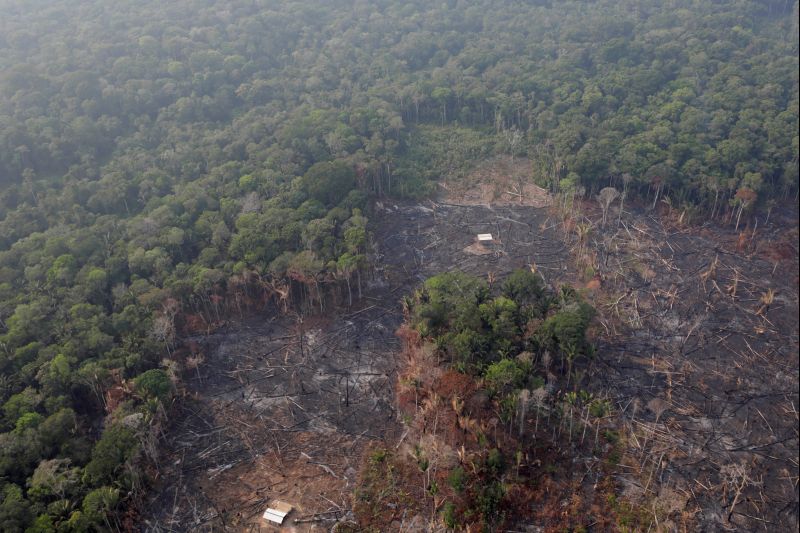 EU piles pressure on Brazil over Amazon fires