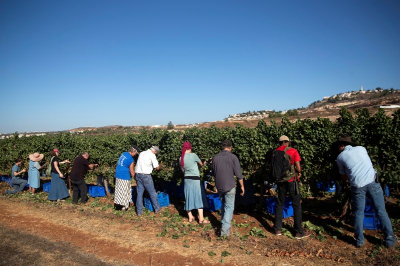Christian evangelicals harvest land in settlements Israel hopes to annex