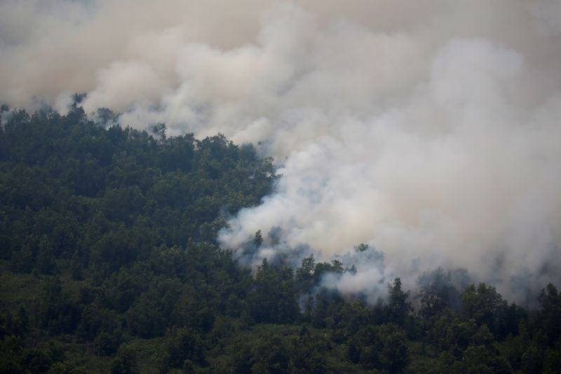 Indonesia shuts schools as smoke from forest fires takes health toll