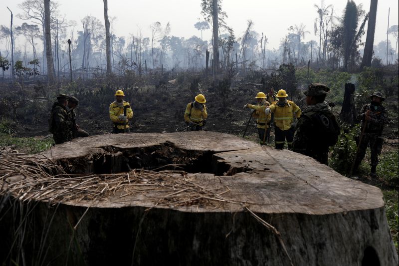 Hundreds killed in Brazil's Amazon over land, resources in past decade: HRW report