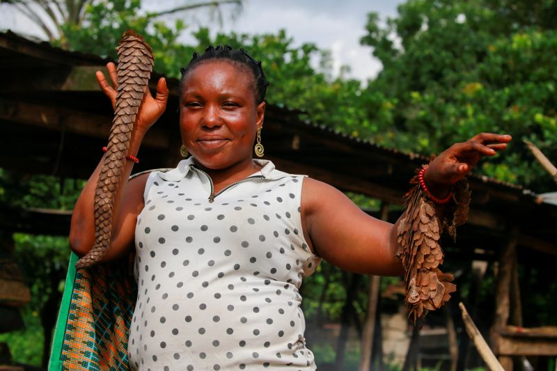 Nigeria becomes Africa's staging ground for the illegal pangolin trade with Asia
