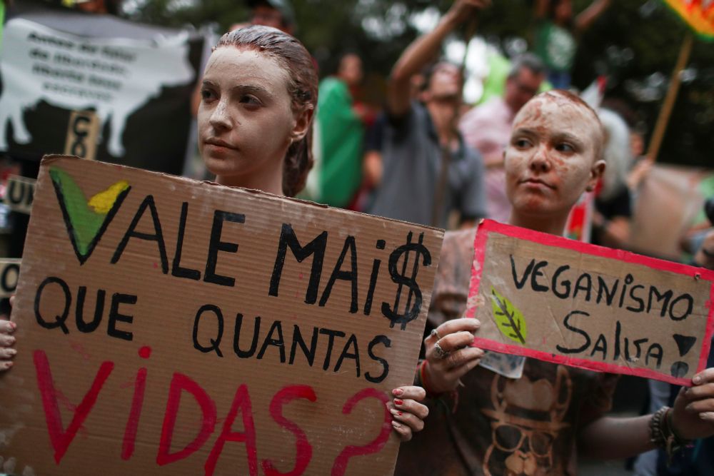 Brazilian climate strikers take aim at Bolsonaro for Amazon fires