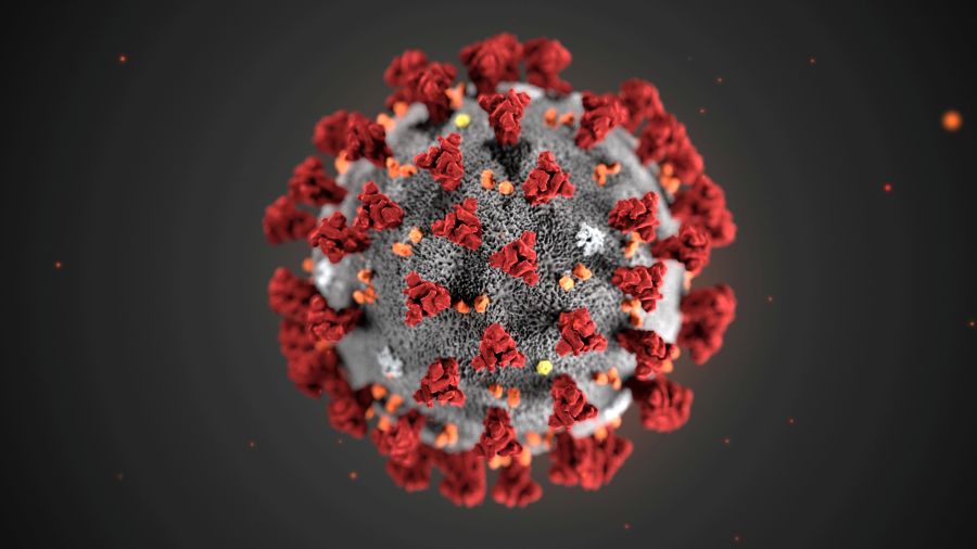 British scientist makes breakthrough in race for coronavirus vaccine: Sky