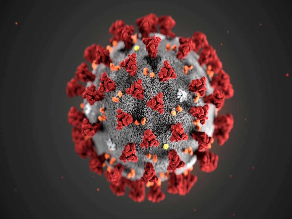 Coronavirus not man-made, has natural origin: Scientists