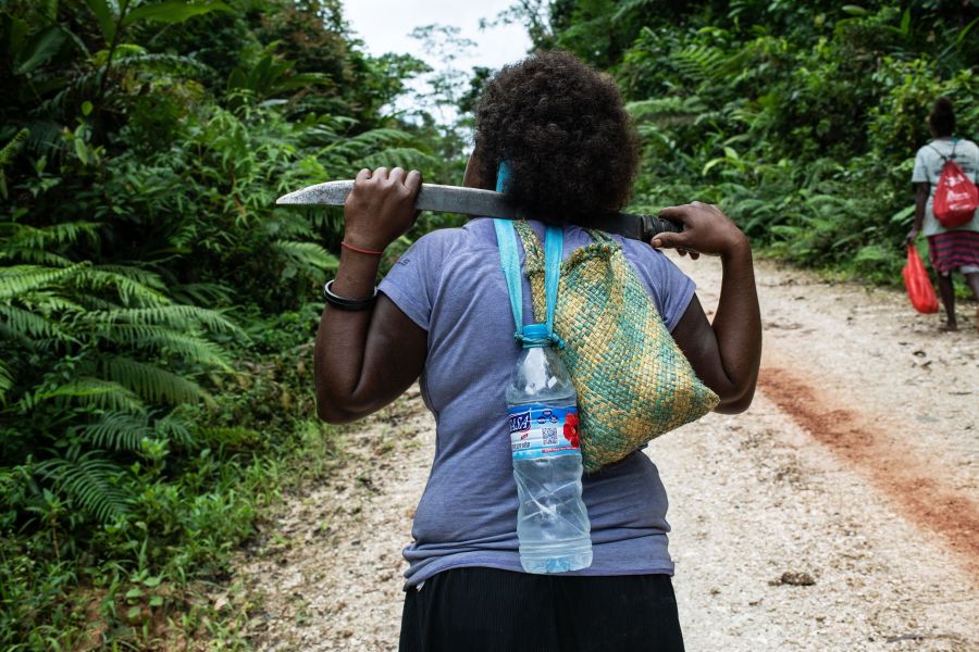 Machetes in hand, women join forces to fight logging in Solomon Islands