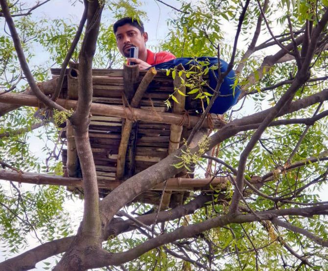 Man climbs tree to teach students during lockdown