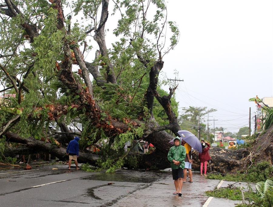 11 killed as typhoon Kammuri hits thousands of Philippine families