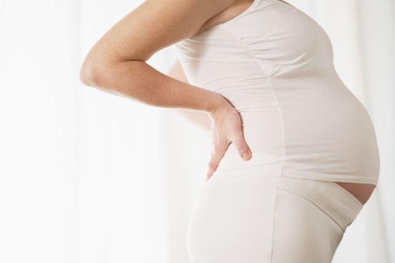 Low-calorie sweeteners bad for pregnant women: Study