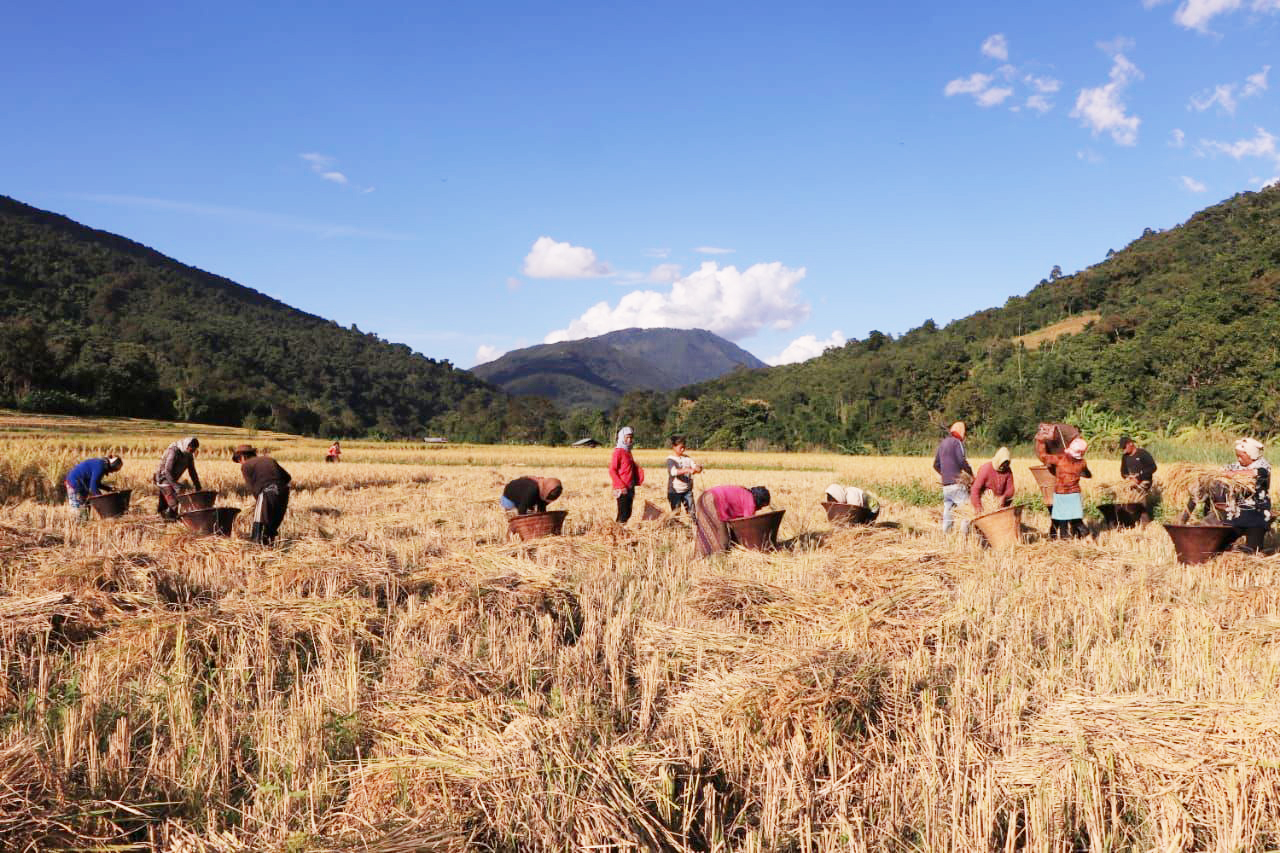 SOWING AND REAPING...
