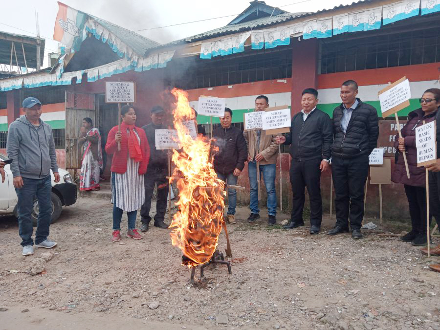 NPYC burns effigy of Amit Shah in Kohima on December 11. (Morung Photo)