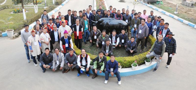 Nagaland Morungexpress Com