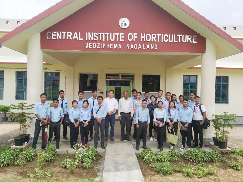 SJU Dimapur conducts exposure cum field trip