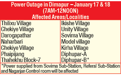 Jungle clearing to effect power supply in Dimapur 