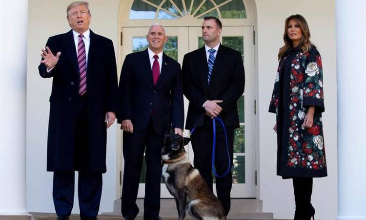 Trump decorates military dog wounded in Al-Baghdadi operation