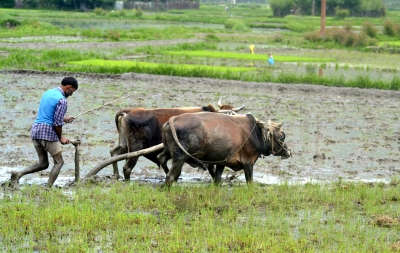 In game-changer, Modi govt aims at direct connectivity with 11.5 cr farmers