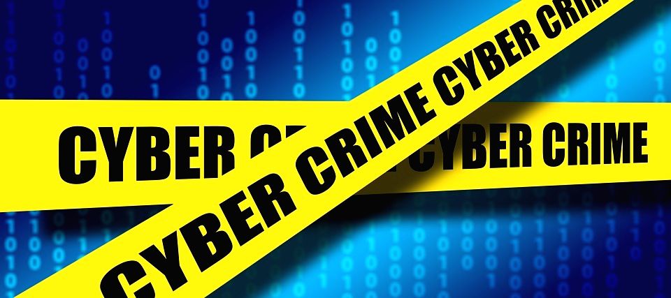 No mob bosses in cybercrime world yet: Study