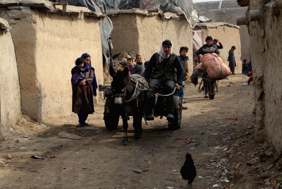 $733mn humanitarian assistance needed for Afghanistan in 2020
