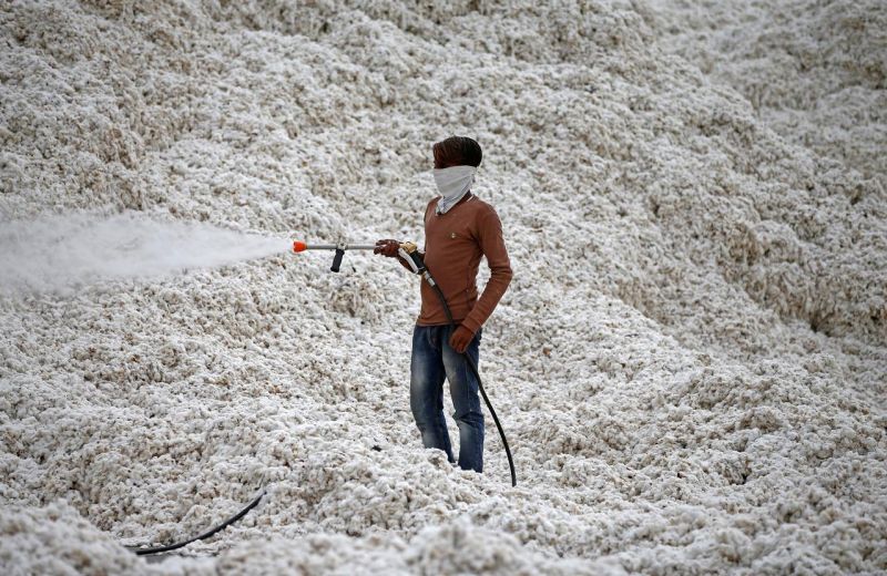 Indian state to map cotton supply chain to stamp out child labour