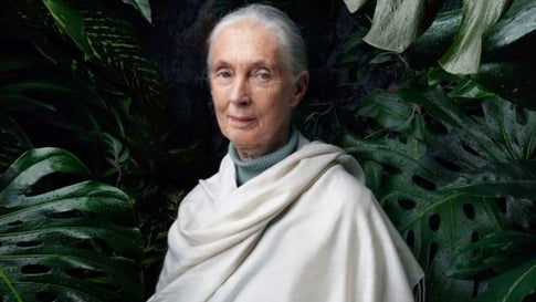 Jane Goodall on COVID-19