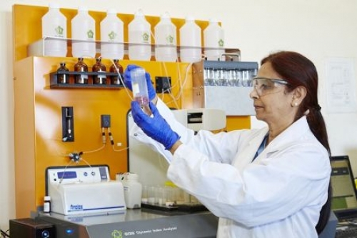 Indian-origin researcher turns banana plant into packaging material