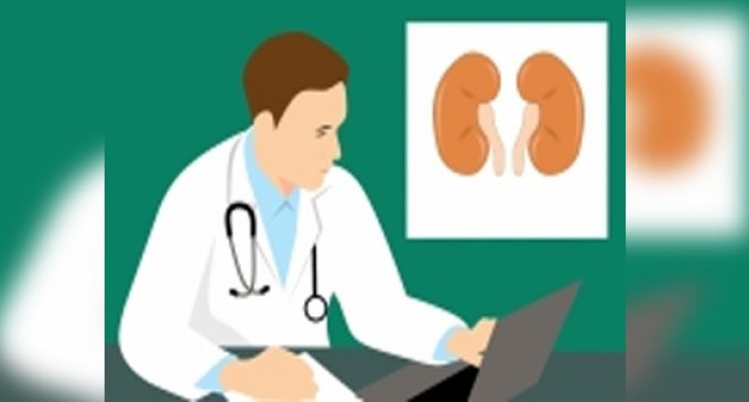 New treatment shows promise to cure kidney disease