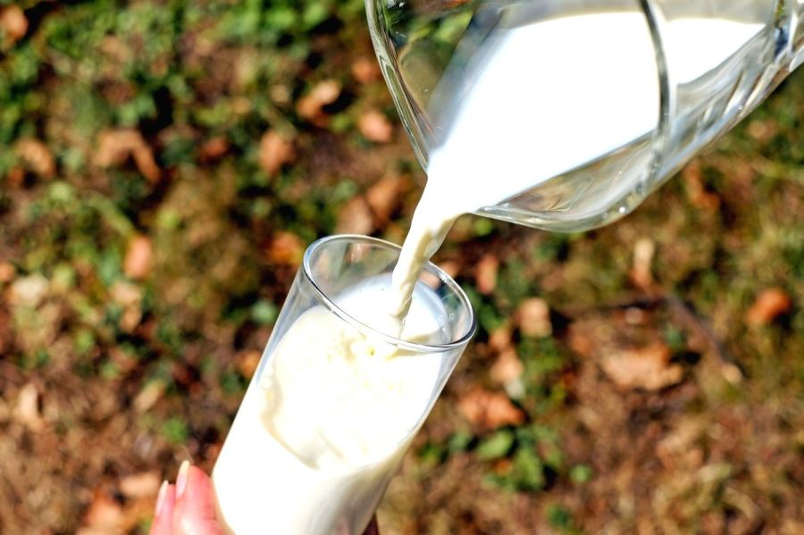 80,000 litres of milk thrown in drain in Kerala