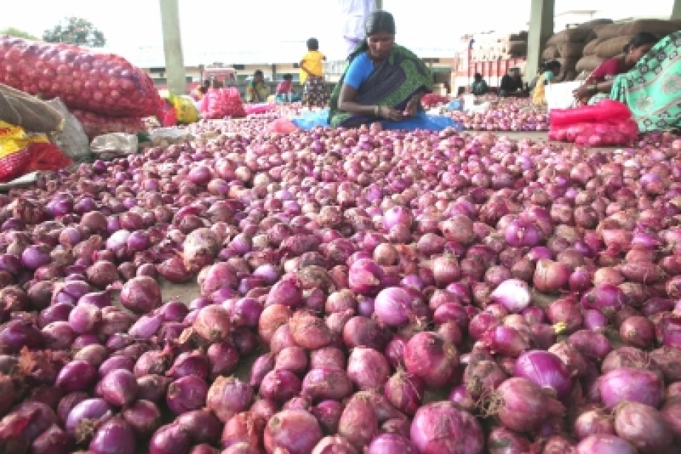 Ruckus in LS over onion prices, remarks on PM, Nirmala
