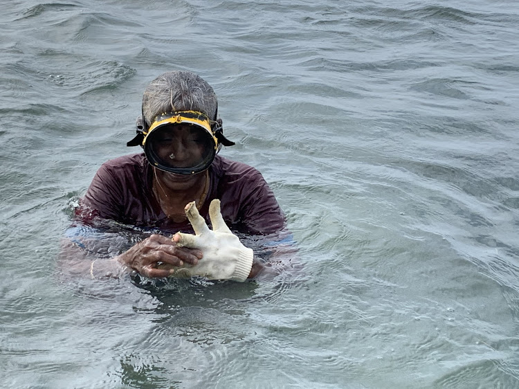 A seaweed harvester off the coast of Ramanathapuram, India, March 8, 2020. Thomson Reuters Foundation/Anuradha Nagaraj