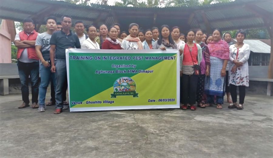 atma dimapur