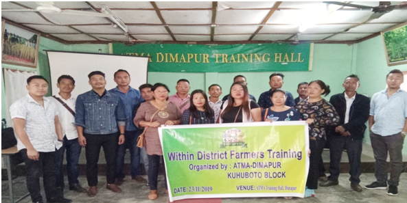 ATMA Dimapur