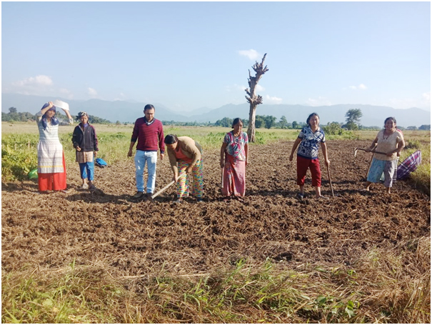 Atma Dimapur