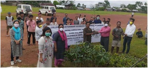 Villagers receive tree saplings distributed by College of Veterinary Sciences & AH, Jalukie. 