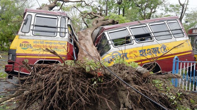 A mini bus is damaged after a huge tree got uprooted and fell on the bus owing to the heavy rainfall accompanied by the Super Cyclone Amphan, in Kolkata. Photograph: ANI Photo