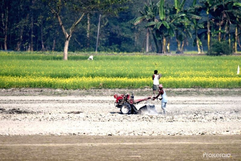 Farmer. (IANS File Photo)