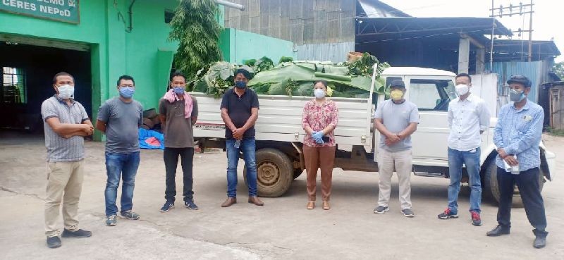 ADC Dimapur Lovitoly, NEPED officials and members of CCA Ruzaphema during the donation of wild vegetable in Dimapur on June 5. (Morung Photo)