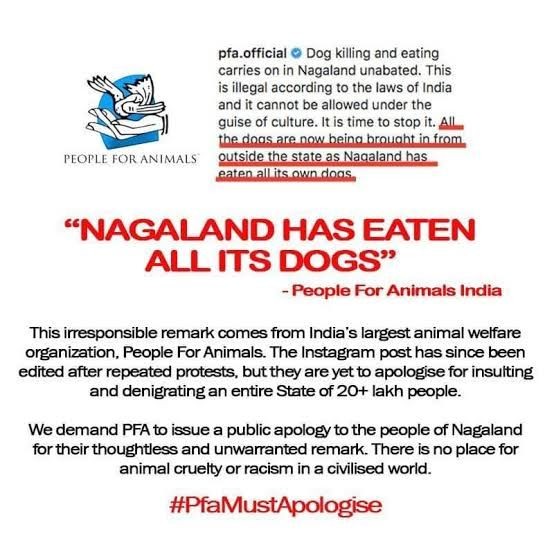 PFA must apologise': Campaign against India's largest animal welfare  organisation | MorungExpress 