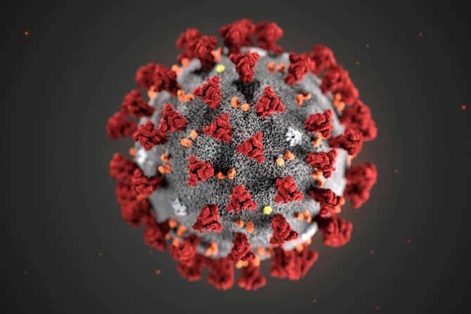 The ultrastructural morphology exhibited by the 2019 novel coronavirus is seen in an illustration released by the Centers for Disease Control and Prevention in Atlanta, US. Photograph: Reuters