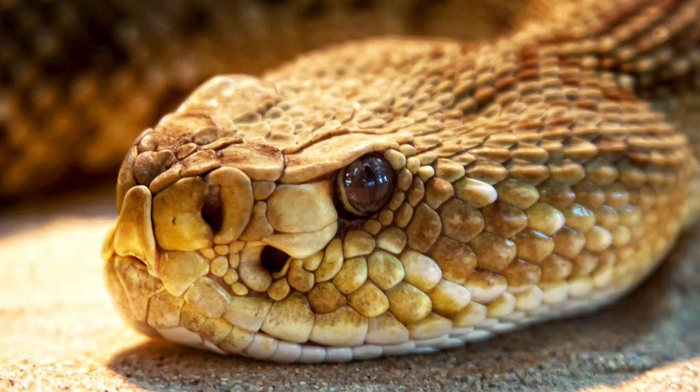 Representational image