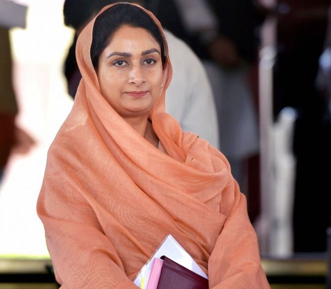 The SAD leader said that before, during and after the promulgation of the three ordinances, she had tried her best to persuade the Cabinet to take the actual stakeholders of this decision, the farmers, on board and remove their apprehensions and concerns. Photograph: Manvender Vashist/PTI Photo