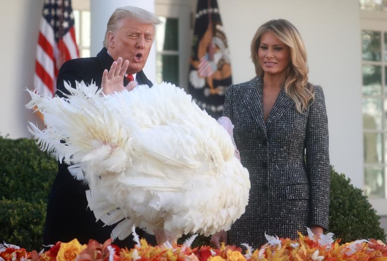 President Donald Trump stands with first lady Melania Trump as he pardons Corn the National Thanksgiving Turkey during the 73rd annual presentation in the Rose Garden at the White House in Washington, November 24, 2020. Corn, this year's turkey and its alternate Cob were raised by Turkey Federation Chairman Ron Kardel, a sixth-generation Iowa farmer. REUTERS/Hannah McKay
