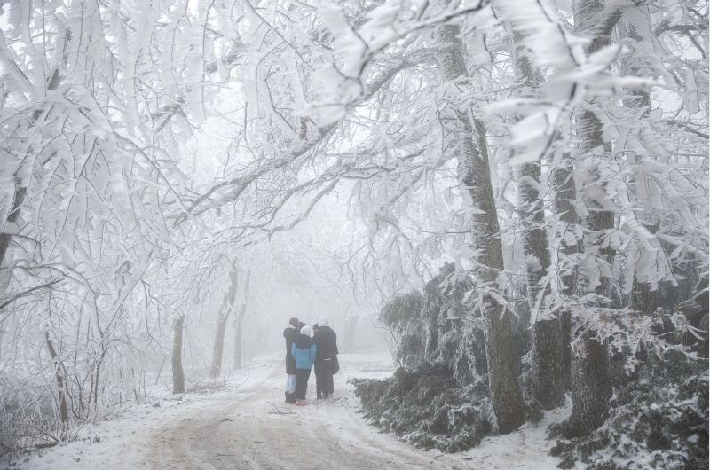 Dobogoko: Tourists stand under ice covered trees on Dobogoko Mountain, Hungary, on a foggy day, Tuesday, Dec. 22, 2020. AP/PTI