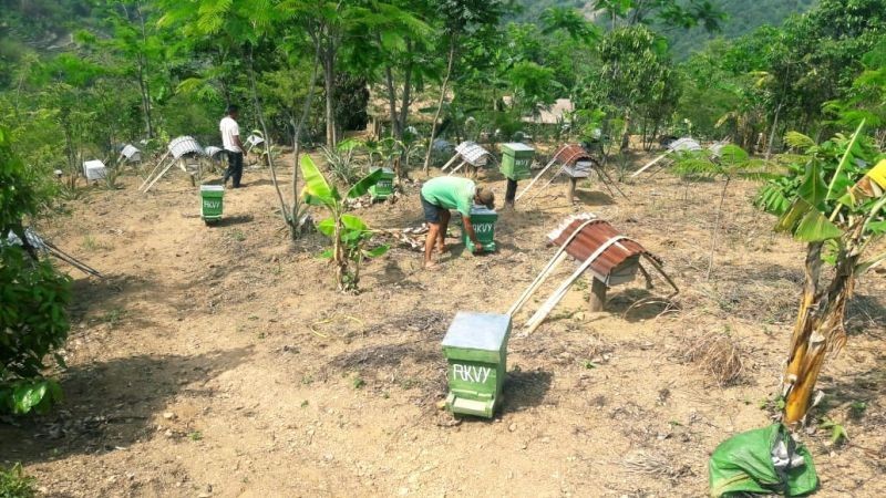 A well maintained Apiary at Chozuba village, Phek district. (Photo Courtesy: Nagaland Beekeeping & Honey Mission)