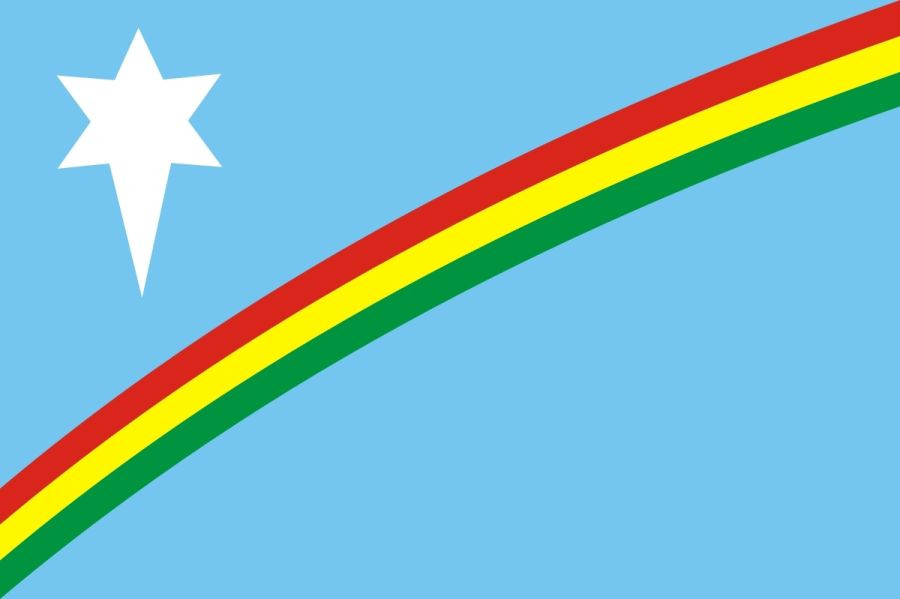 NSCN flag.(photo:Wikipedia/IANS news)