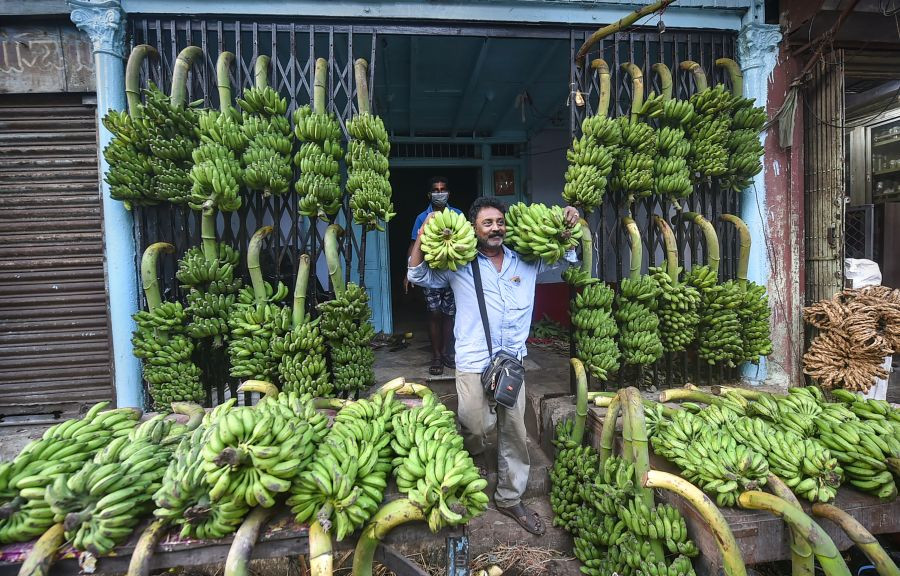 Kolkata: A man purchases bunches of banana from a shop to perform rituals for 'Chhath Puja' festival, in Kolkata, Tuesday, Nov 9, 2021. (PTI Photo/Swapan Mahapatra)