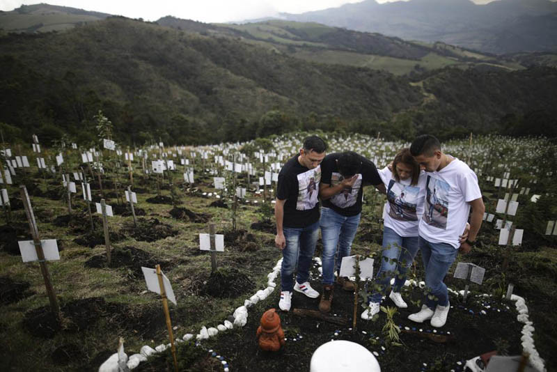 Relatives of Luis Enrique Rodriguez, who died of COVID-19, visit where he was buried on a hill at the El Pajonal de Cogua Natural Reserve, in Cogua, north of Bogota, Colombia, Monday, Oct. 25, 2021. Rodriguez died May 14, 2021. Relatives bury the ashes of their loved ones who died of coronavirus and plant a tree in their memory. (AP File Photo)