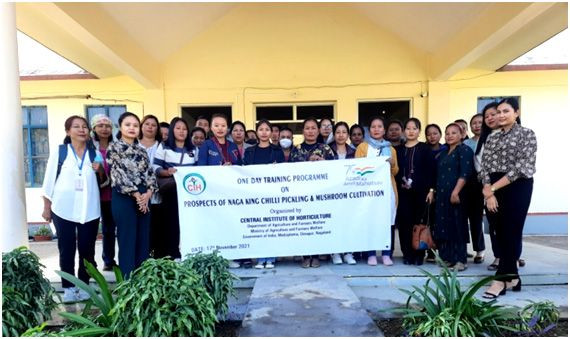 Participants during the one-day training on ‘prospects of Naga King Chilli preparation & mushroom cultivation’ on November 17.
