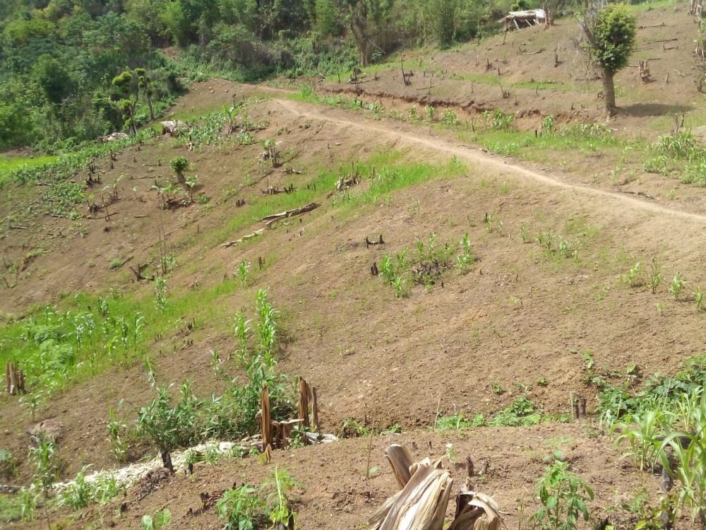 Parts of Nagaland experienced extremely-severely dry conditions in 2021 ...