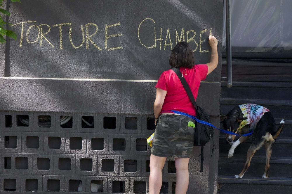 Melbourne:A refugee advocate writes a slogan on the wall outside the Park Hotel, used as an immigration detention hotel where tennis player Novak Djokovic is confined in Melbourne, Australia, Sunday, Jan. 9, 2022. After five nights in hotel detention Djokovic will get his day in court on Monday, Jan. 10, in a controversial immigration case that has polarized opinions in the tennis world and elicited heartfelt support for the star back home in his native Serbia.AP/PTI Photo